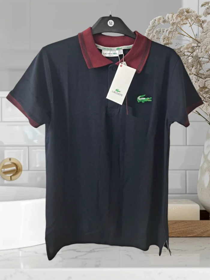 polo t shirt 2